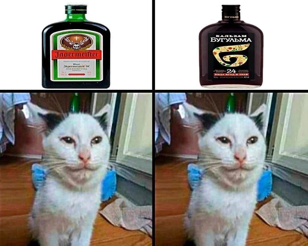 4 4