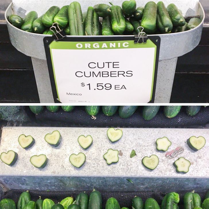 WIE CUTE CUMBERS у