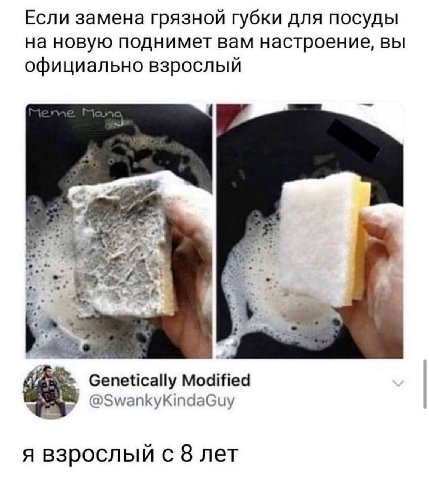 Если замена грязной губки для посуды на новую поднимет вам настроение, вы официально взрослый у Genetically Modified @SwankyKindaGuy я взрослый с 8 лет
