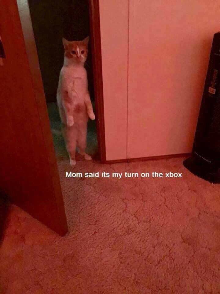 Мот said its my turn on the xbox