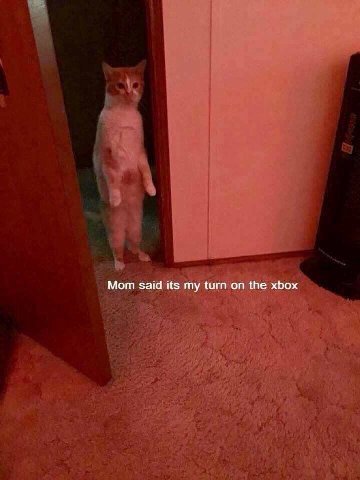 Мот said its my turn on the xbox