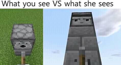 What you see what she sees