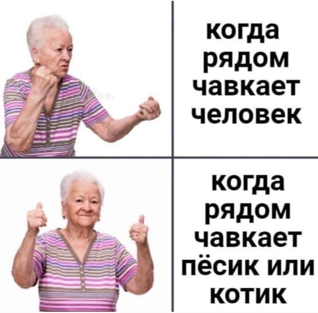 когда рядом чавкает человек когда fod рядом чавкает пёсик или КОТИК