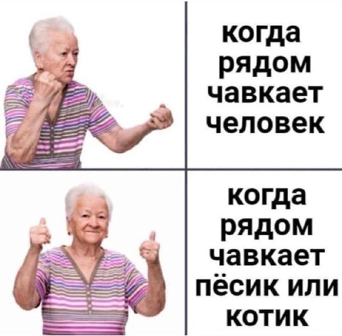 когда рядом чавкает человек когда fod рядом чавкает пёсик или КОТИК