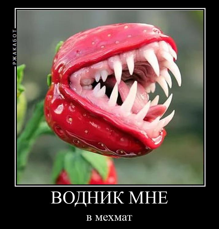 ВОДНИК МНЕ в мехмат