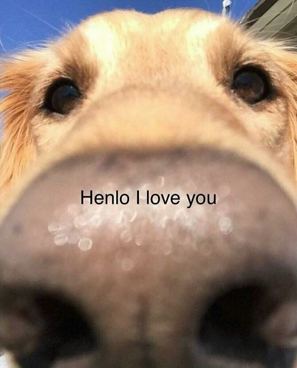 27 Henlo love you