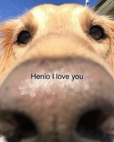 27 Henlo love you