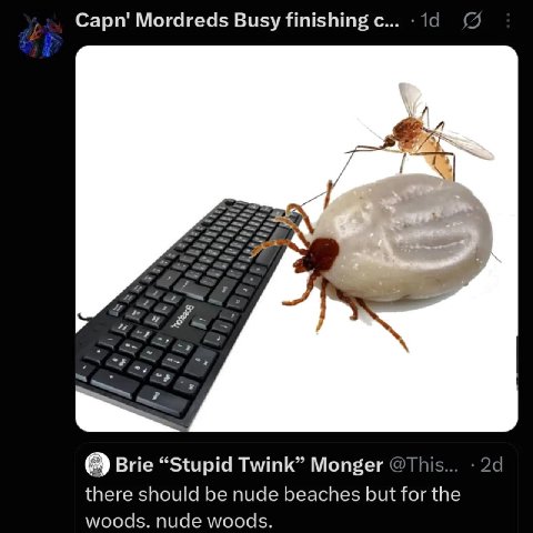 Сарп' Mordreds Визу finishing с... i: #2 7 Brie “Stupid Twink” Monger @This... there should be nude beaches but for the woods. nude woods.