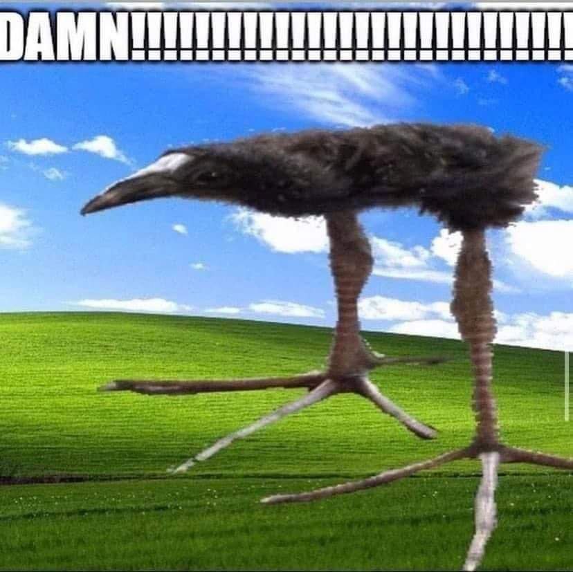 DAMN!