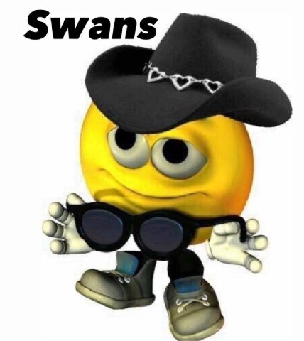Swans