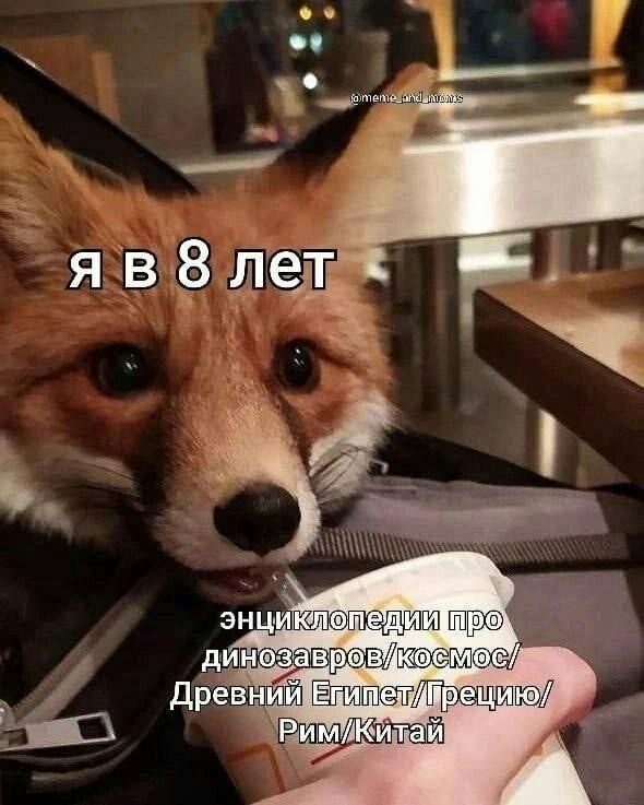 лет энци Древний