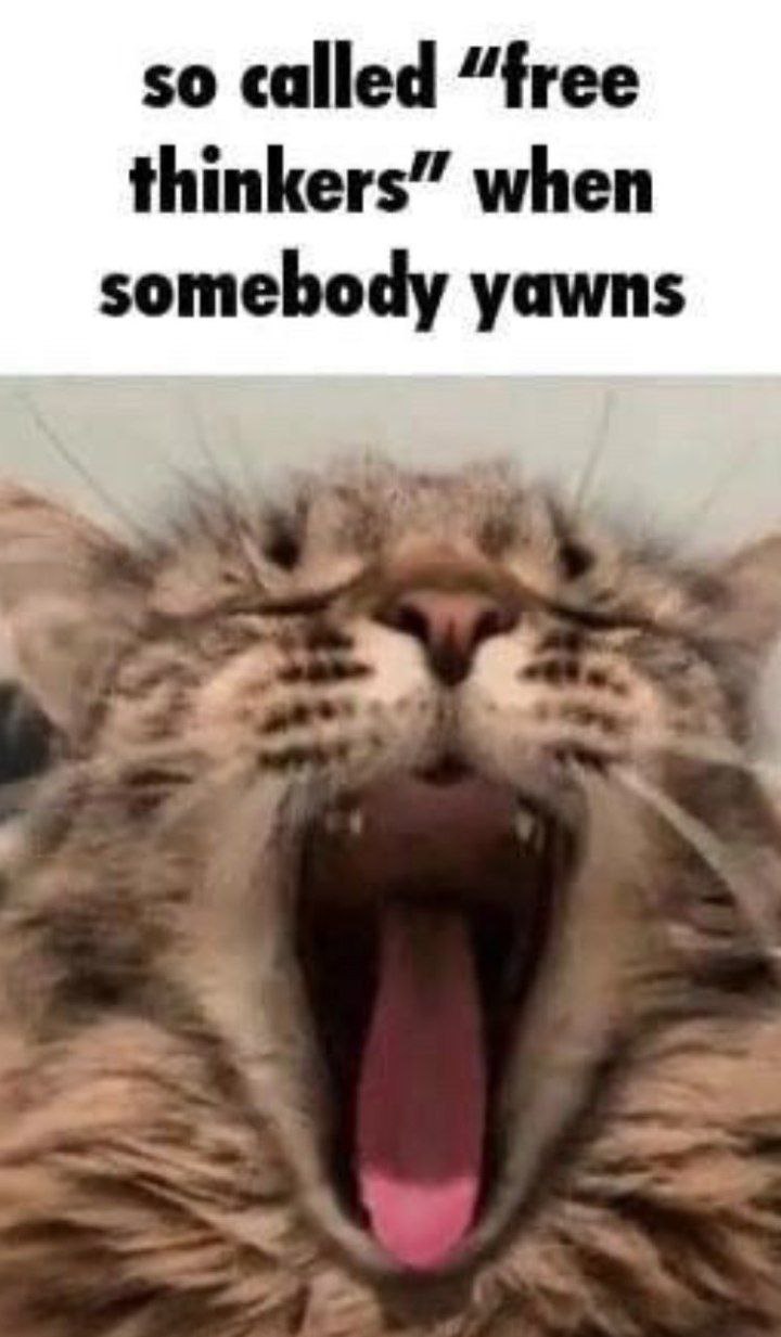 so called “free thinkers” when somebody yawns