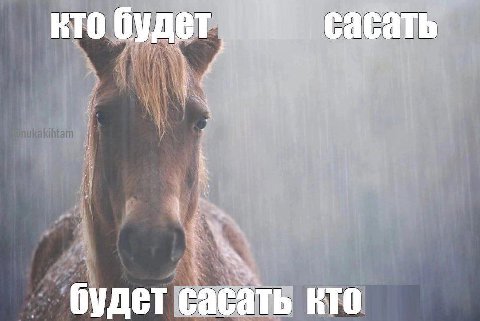 кто будет сасать