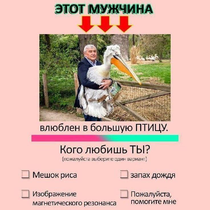 ЭТОТ МУЖЧИНА мы влюблен в большую ПТИЦУ. Кого любишь ТЫ? (пожалуйста выберите один вариант} запах дождя Изображение Пожалуйста, магнетического резонанса помогите мне