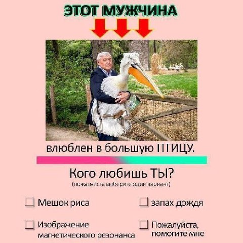 ЭТОТ МУЖЧИНА мы влюблен в большую ПТИЦУ. Кого любишь ТЫ? (пожалуйста выберите один вариант} запах дождя Изображение Пожалуйста, магнетического резонанса помогите мне