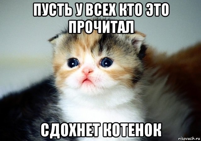 ПУСТЬ УВСЕХ КТО 3TO ПРОЧИТАЛ.