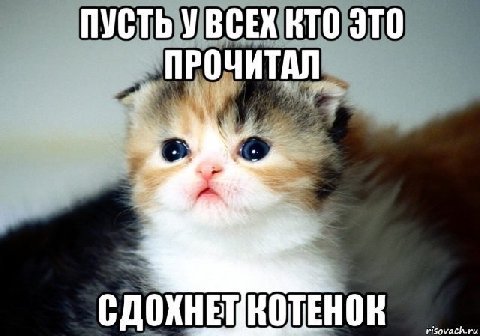 ПУСТЬ УВСЕХ КТО 3TO ПРОЧИТАЛ.
