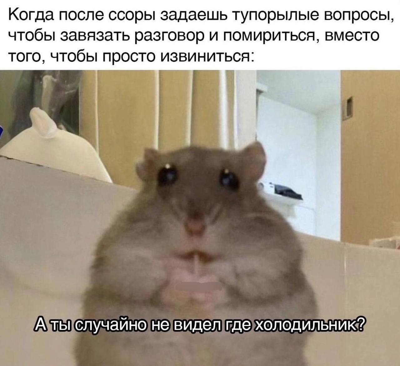 Когда после ссоры задаешь тупорылые вопросы, чтобы завязать разговор и помириться, вместо того, чтобы просто извиниться: А ты случайно не видел где холодильник?