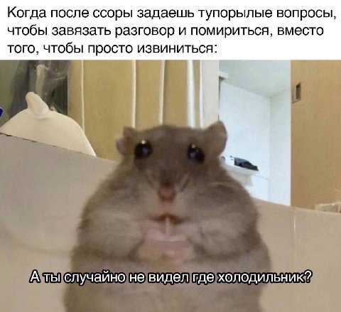 Когда после ссоры задаешь тупорылые вопросы, чтобы завязать разговор и помириться, вместо того, чтобы просто извиниться: А ты случайно не видел где холодильник?