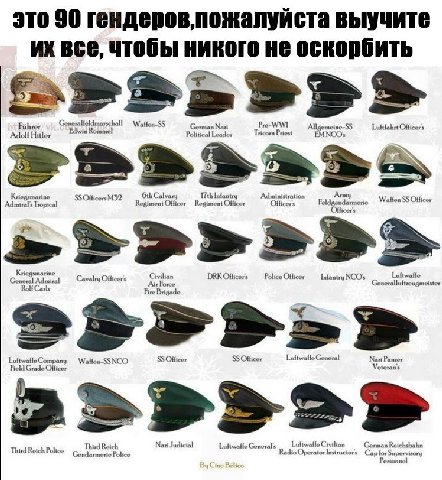 это 90 гендеров, пожалуйста выучите все, чтобы никого не оскорбить Generalleldmarschall Fuhrer Edwin German Nazi Pro- Allge: »meine-SS Adolf Hitler Political Leader Tricorn Priest EMNCOs 5% Kriegsmari
