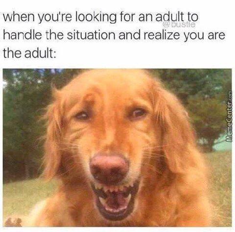 when you're looking for an adult to handle the situation and realize you are the adult: