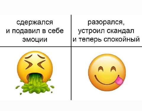 сдержался разорался, и подавил в себе устроил скандал эмоции и теперь спокойный