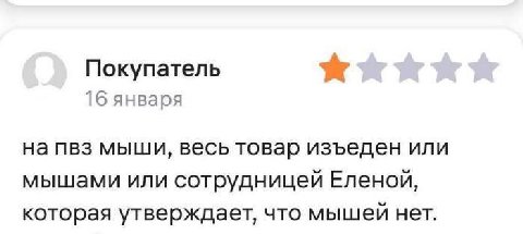Покупатель 16 января на пвз мыши, весь товар изъеден или мышами или сотрудницей Еленой, которая утверждает, что мышей нет.