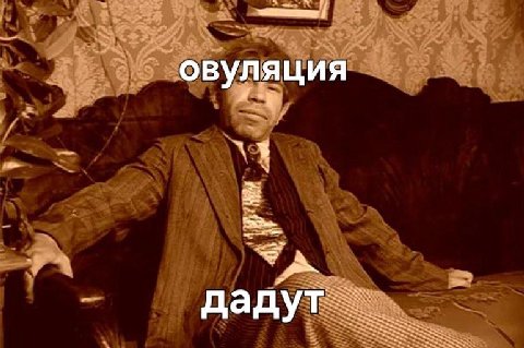 овуляция я дад