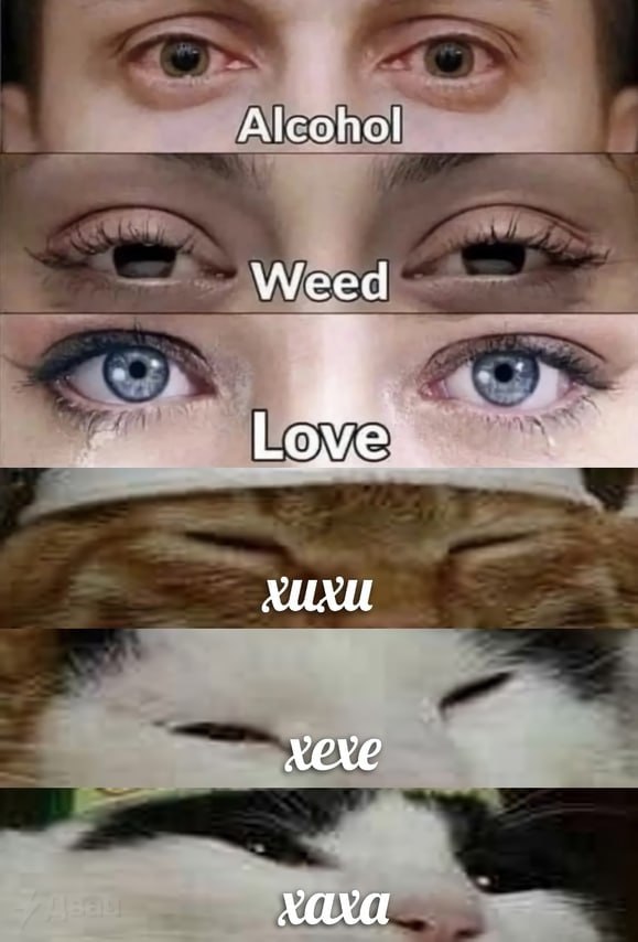 Alcohol Weed A XUXU хехе
