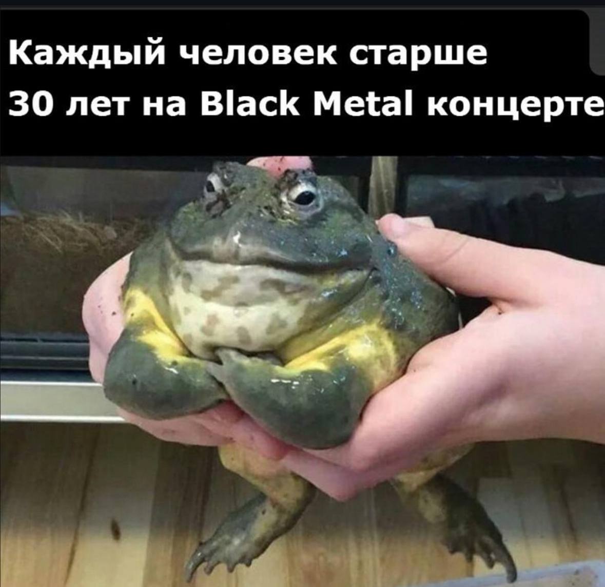 Каждый человек старше 30 лет на Black Metal концерте
