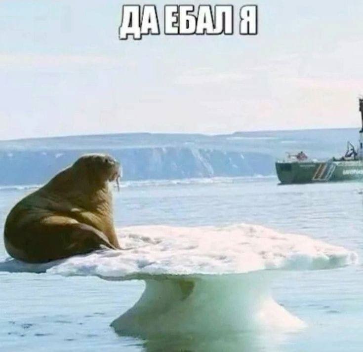 ДАТЕБАЛИЯ