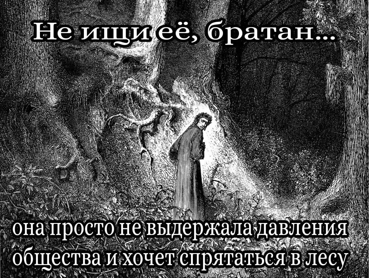 „Не ищи её, братан: if она а просто не выдержала давления общества хочет спрятаться: Лесу