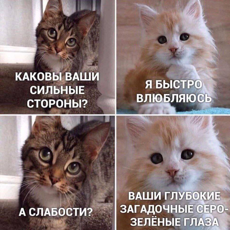 is КАКОВЫ ВАШИ СИЛЬНЫЕ Я БЫСТРО) СТОРОНЫ? ВЛЮБЛЯЮСЬ ВАШИ ГЛУБОКИЕ А СЛАБОСТИ? ЗАГАДОЧНЫЕ СЕРО- ЗЕЛЁНЫЕ