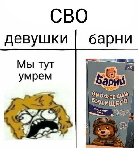 СВО девушки барни Мы тут умрем