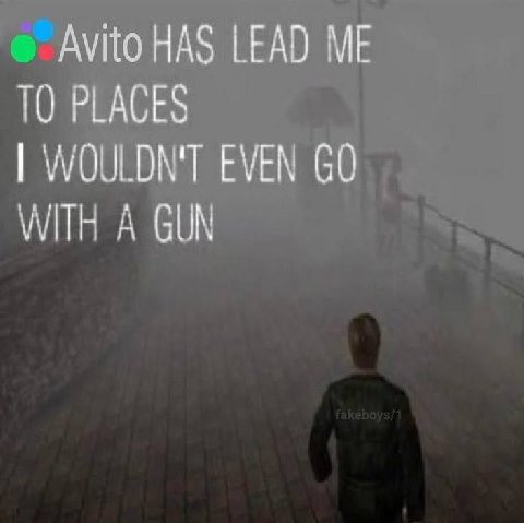 Avito HAS LEAD TO PLACES WOULDN'T EVEN А GUN