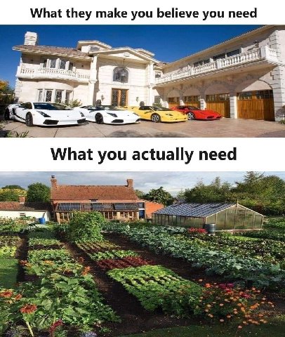 What they make you believe you need я What you actually need
