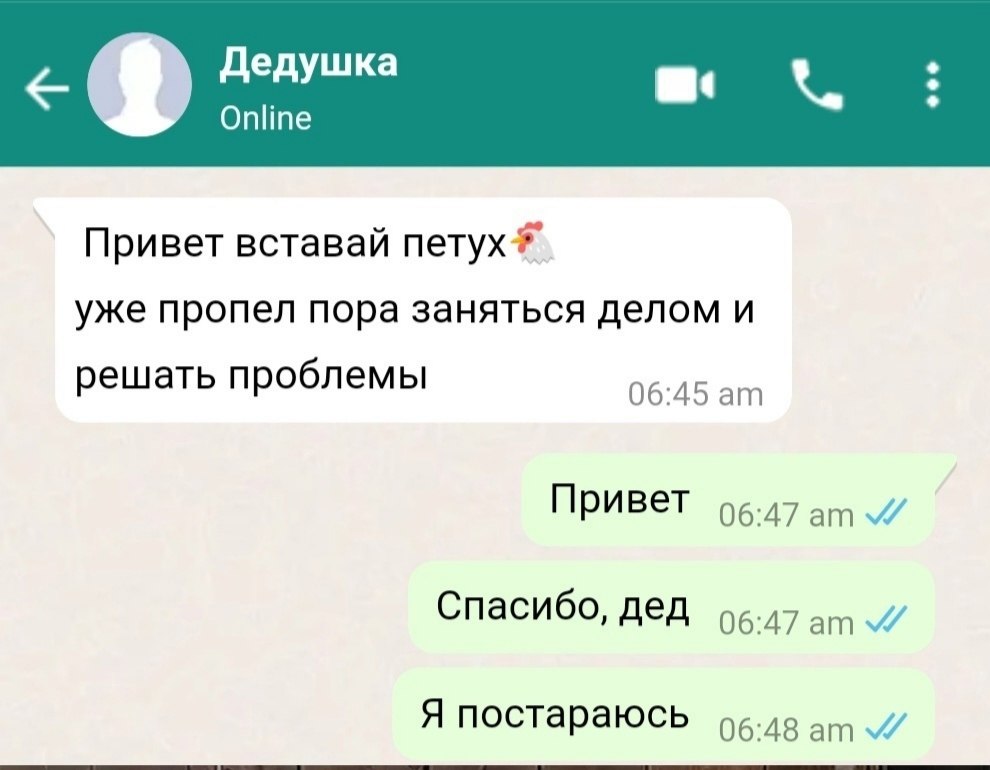 с Дедушка Online Привет вставай уже пропел пора заняться делом и решать проблемы 06:45 Привет 96.47 Спасибо, дед 96-47 Я постараюсь