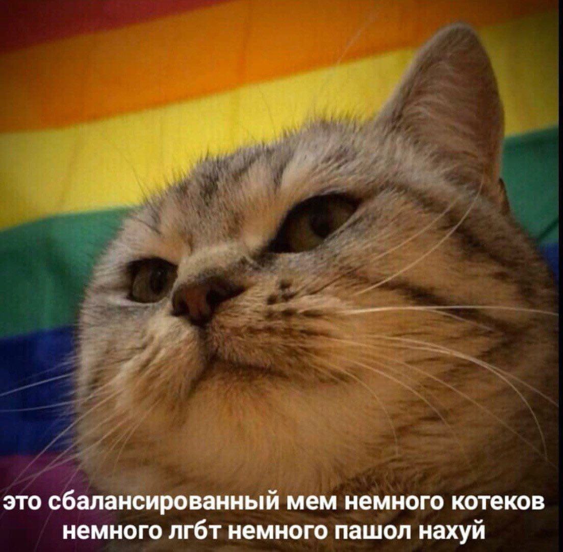 это сбалансированный мем немного котеков немного лгбт немного пашол нахуй