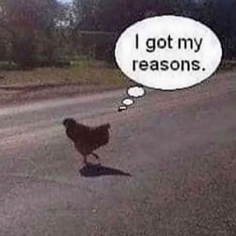 got my reasons