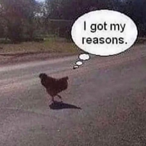 got my reasons