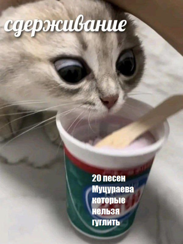 экивание 20 песен Муцураева которые нельзя