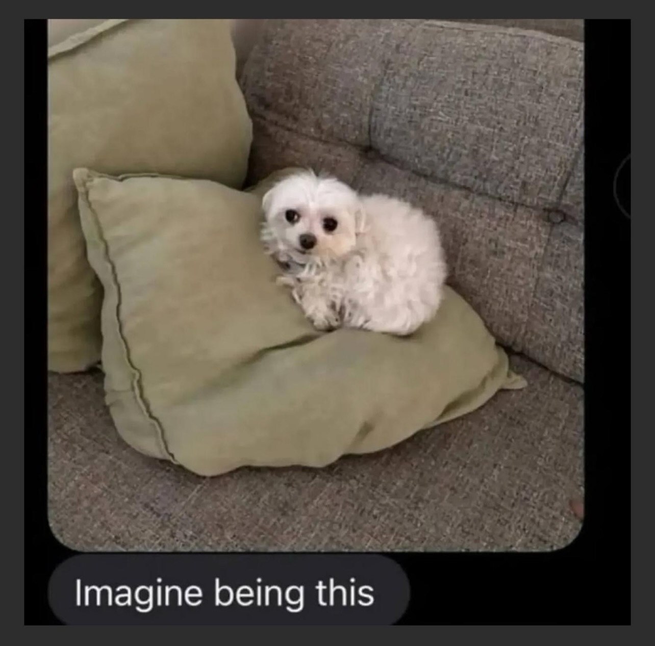 Imagine being this