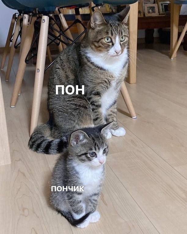 MOH