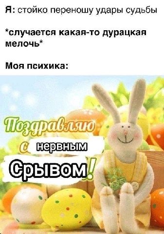Я: стойко переношу удары судьбы *случается какая-то дурацкая мелочь* Моя психика: Поздравляк