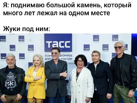 Я: поднимаю большой камень, который много лет лежал на одном месте Жуки под ним: тасс ИНФ ДИОННОЕ РОССИИ АГЕ 7