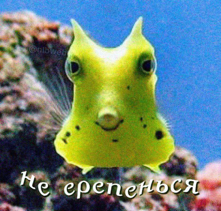 с pen tog