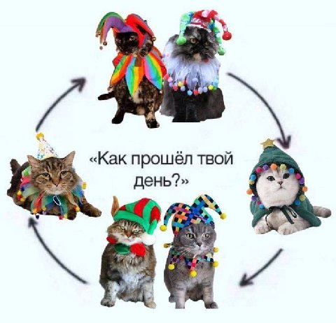 «Как прошёл твой 23 и