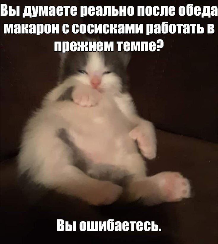 Вы думаете реально после обеда макарон с сосисками работать в прежнем темпе? Вы ошибаетесь.