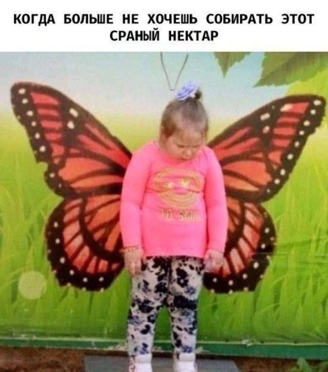 КОГДА БОЛЬШЕ НЕ ХОЧЕШЬ СОБИРАТЬ ЭТОТ СРАНЫЙ НЕКТАР к