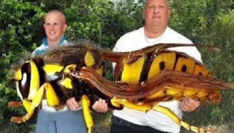 а a